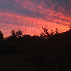 Meet your Posher, Leigh